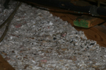 IMG_1611, F and U.JPG